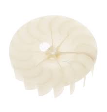 WE16M15 Dryer blower wheel General Electric